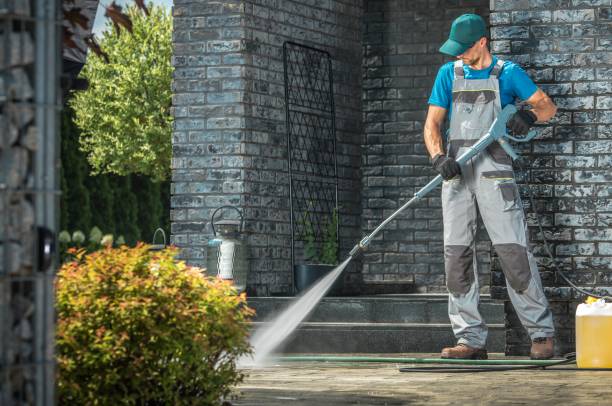Best Driveway Cleaning and Restoration in Hortonville, WI