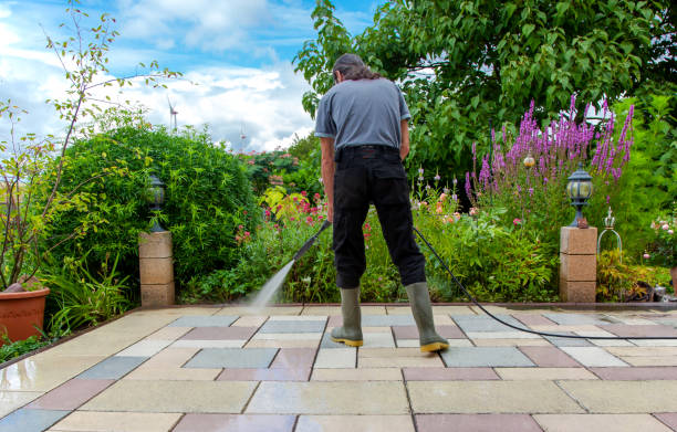Best Parking Lot Cleaning in Hortonville, WI